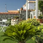 Vodina