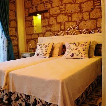 Hotel Vodina