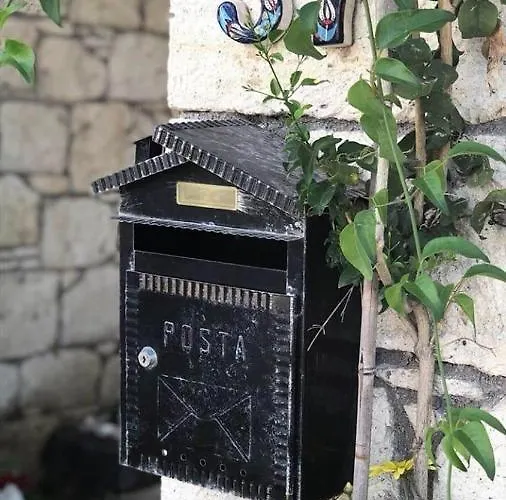 Vodina Отель 2*