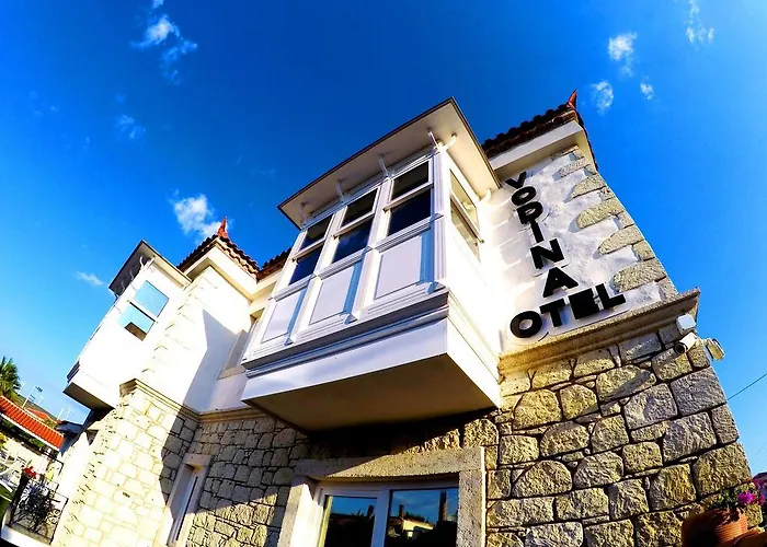 Vodina Отель 2*