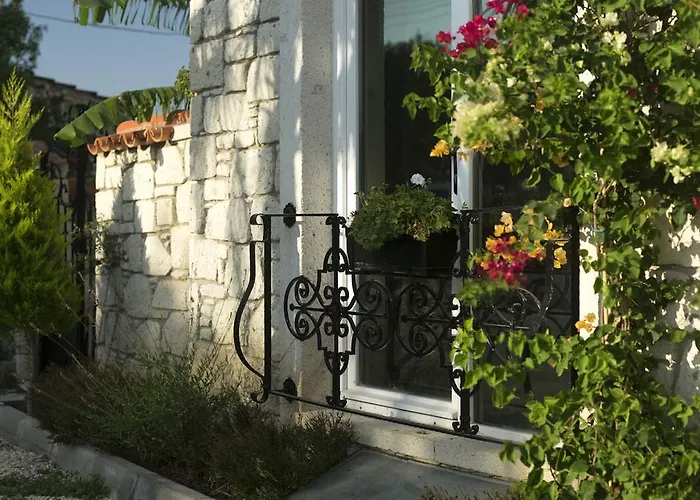 Отель Vodina 2*