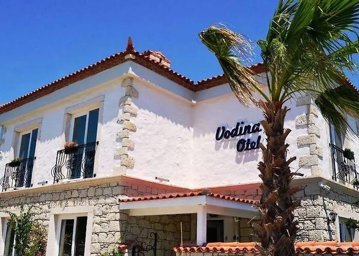 Vodina Отель 2*