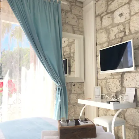 Hotel Vodina