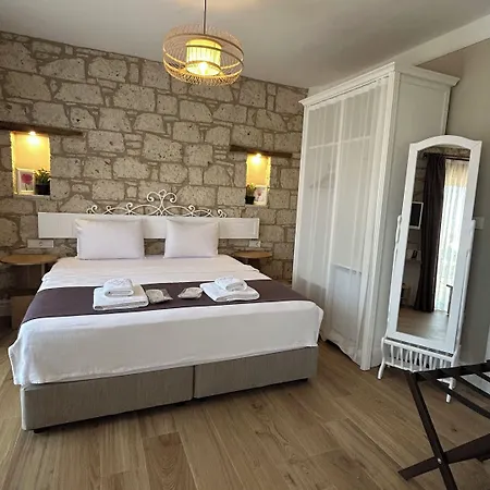 Hotel Vodina